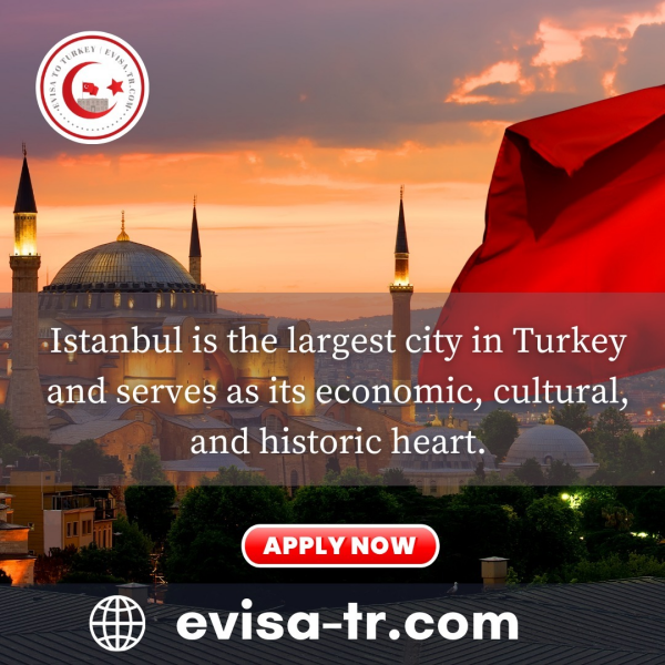 How Long Does It Take To Get An E-visa Turkey