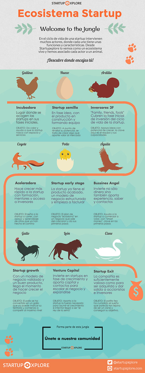 infografia_animales-low