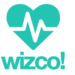 wizco.es