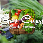 Grow Crowd