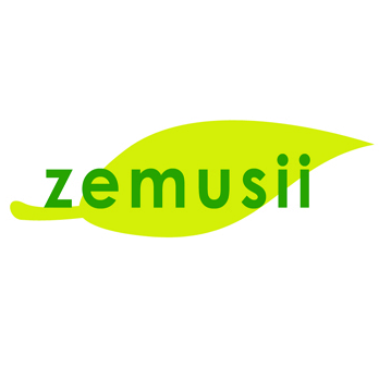 Zemusii Consulting Services