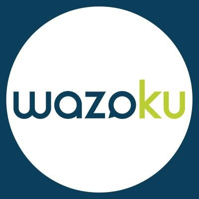 Wazoku Ltd