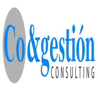 Cogestión Consulting