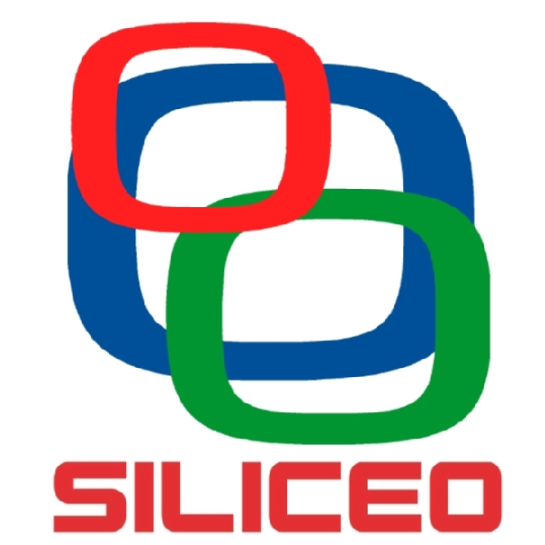 Siliceo