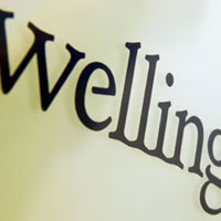 Wellington Partners