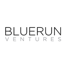 BlueRun Ventures