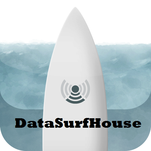DataSurfHouse
