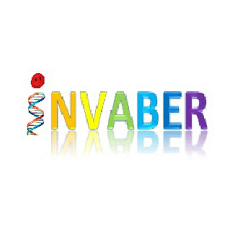 Invaber