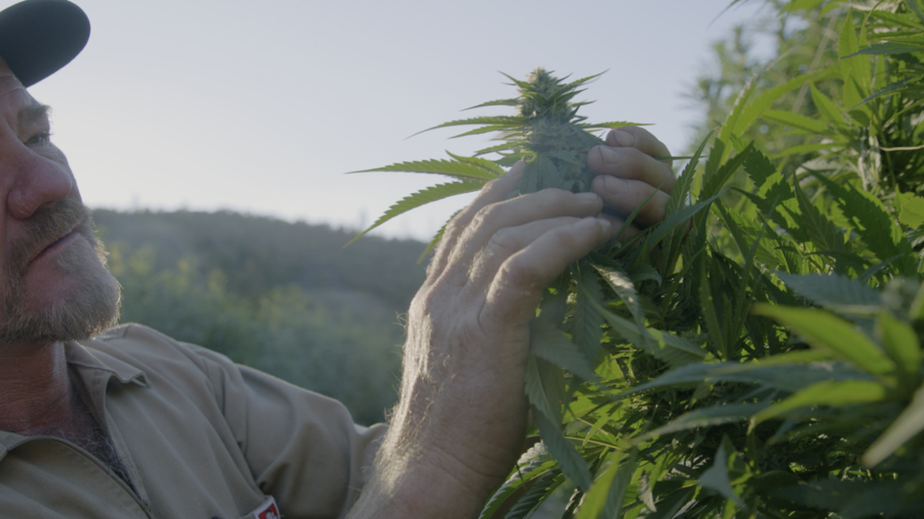 Coinvierte en The Beemine Lab junto a 