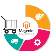 Hire Magento Programmer