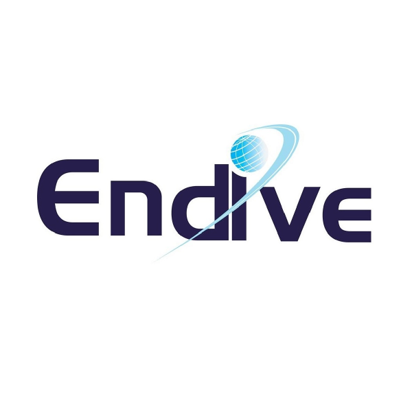 Endive Software Pvt. Ltd.