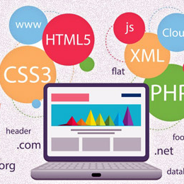 html5 development india