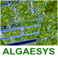 Algaesys Limited