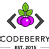 Codeberry, Inc.
