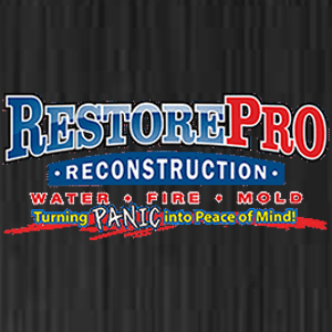 RestorePro Reconstruction