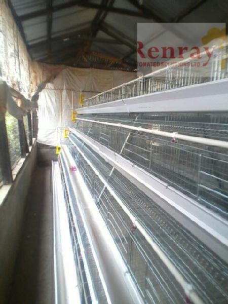 Images from Renray Automated Solutions Ltd