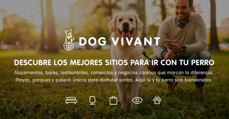 Images from DOG VIVANT