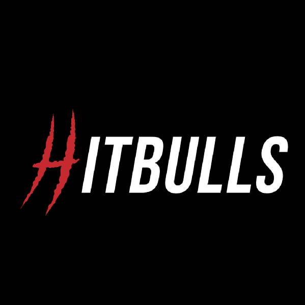 Hitbulls