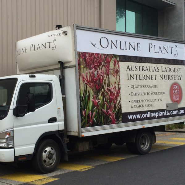 Online Plants