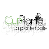 CupPlante