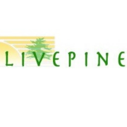 Live Pine