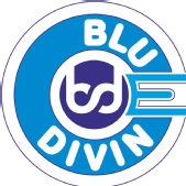 Blue Divine Event Management Agency