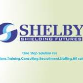 shelbyglobal