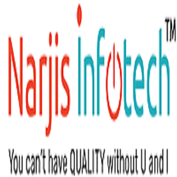 Narjis Infotech - Best IT Service Company in India