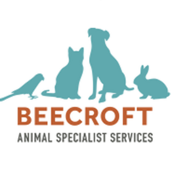 Beecroft Surgical