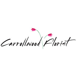 Carrollwood Florist