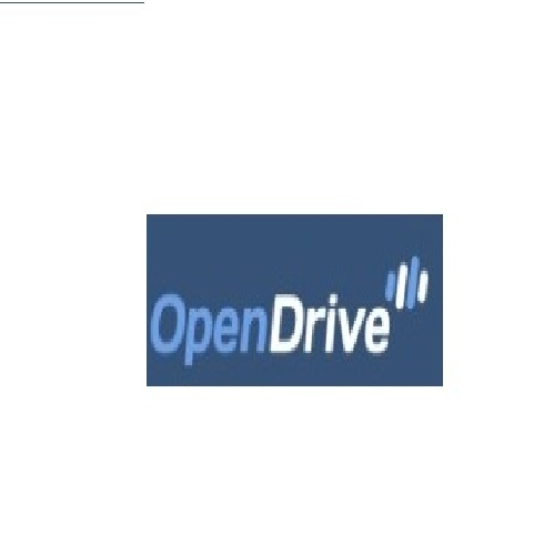 OpenDrive