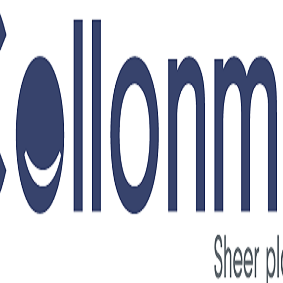 Collonmade Web Development Company in India