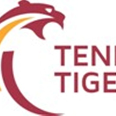 ​Government and Private Tenders Online Details | Tendertiger.com