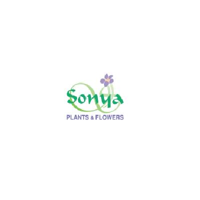 Sonya Plants and Flowers LLC