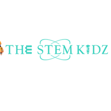 THE STEM KIDZ