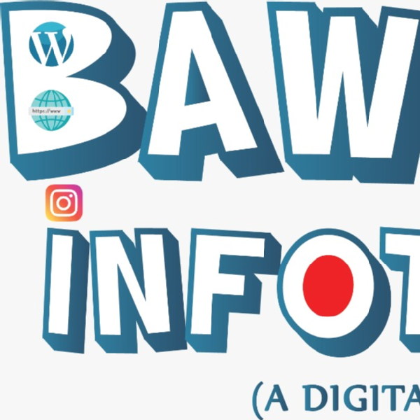 Bawloo Infotech Pvt. Ltd.