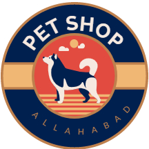 shopfor dog