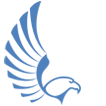 Falcon Digital Marketing