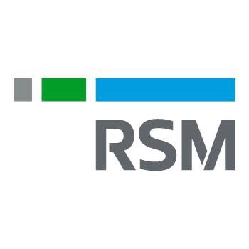 RSM Gassó Advisory IT Services