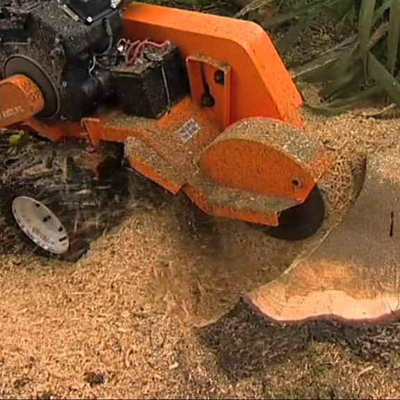 Stump Grinding Surrey Inc.