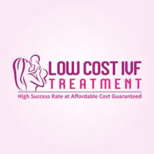 Low Cost IVF