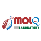 MolQ Laboratory - Startupxplore MolQ Laboratory