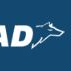 Payper Head - Startupxplore Payper Head