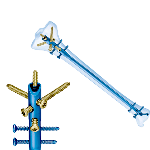 Siora Surgicals Pvt Ltd.