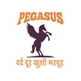 Pegasus Institute of Pain Management and Sports Injury