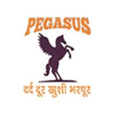 Pegasus Institute of Pain Management and Sports Injury - Startupxplore Pegasus Institute of Pain Management and Sports Injury
