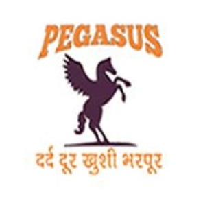 Pegasus Institute of Pain Management and Sports Injury