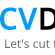 CV  Designer