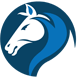 Indian SEO Company