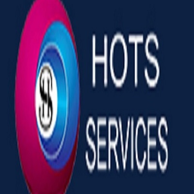 freelance seo expert in noida